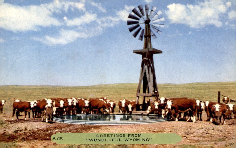 Greetings from Wonderful Wyoming Postcard Postcard