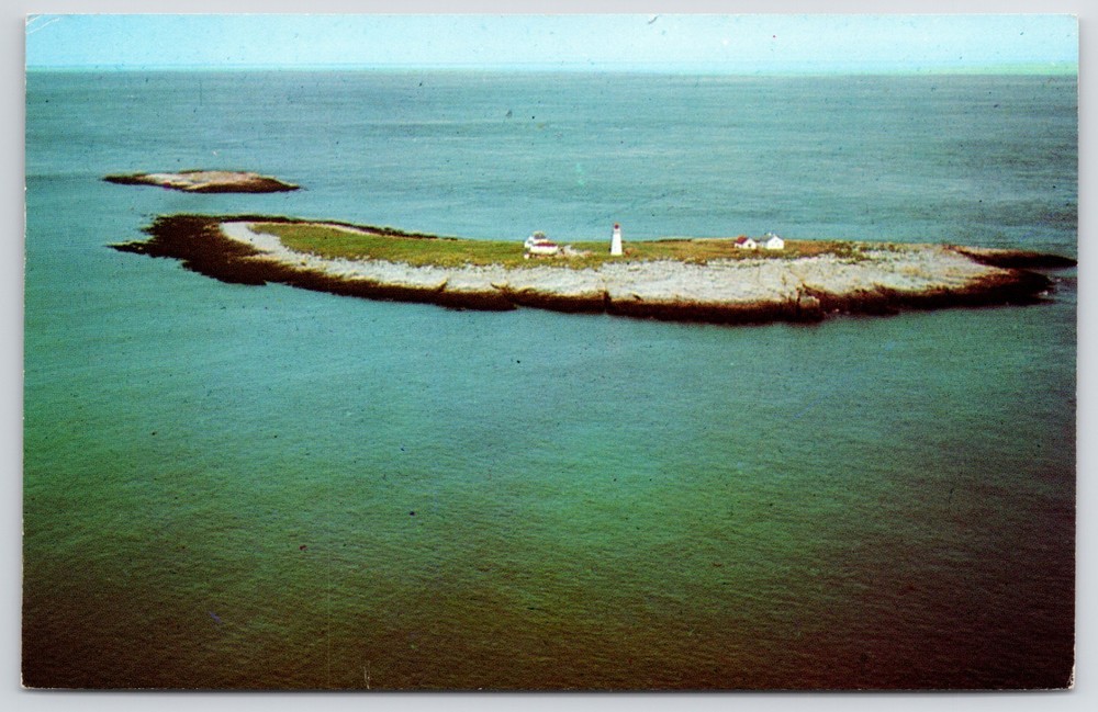 Machias Seal Island Bay of Fundy Atlantic Puffin Nesting Lighthouse Postcard