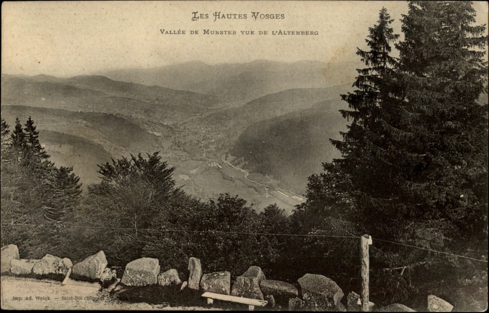 Vallee de Munster Les Hautes Vosges France vintage postcard s065