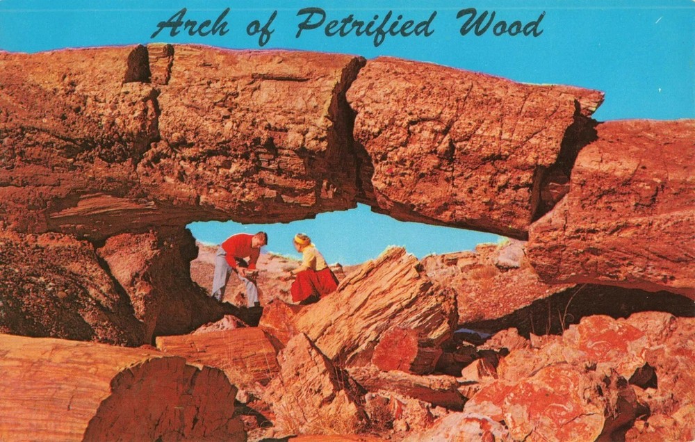 Arch of Petrified Wood - Petrified Forest National Park - Arizona AZ - Postcard