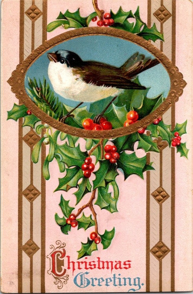 Vintage 1911 Christmas Postcard Embossed Bird Holly German Printed Posted