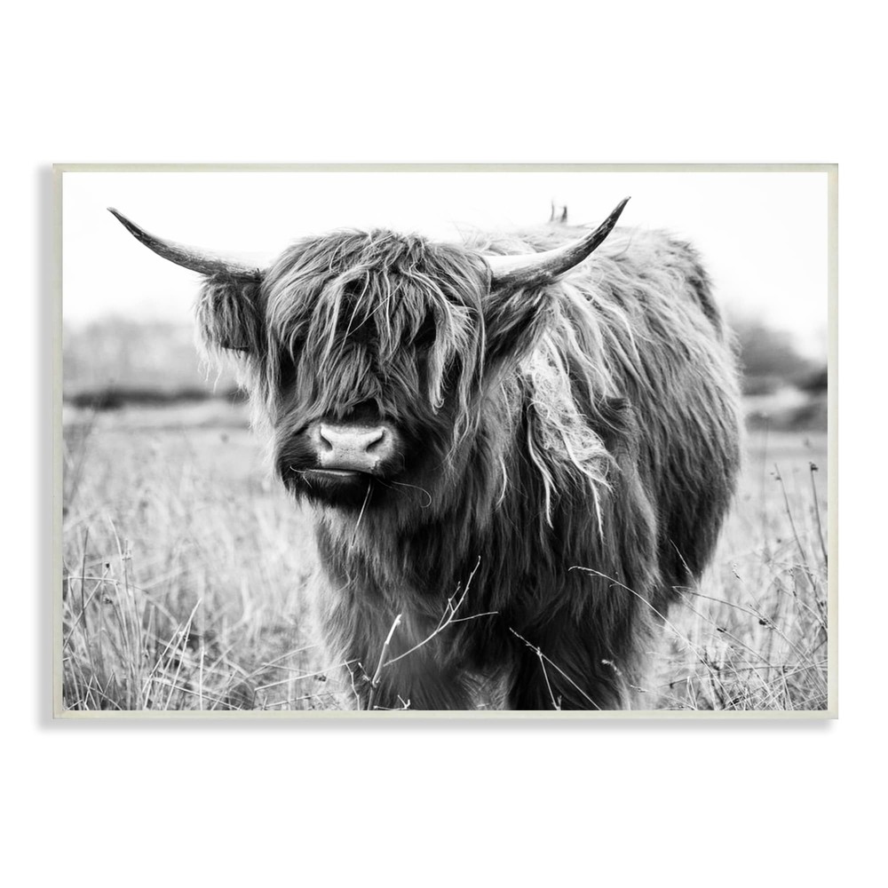 Stupell Monochrome Farmland Longhorn Cattle Cow Photography