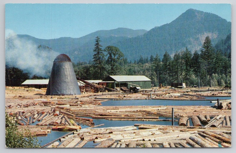 Northwest Sawmill Log Pond Vintage Postcard Oregon Lumber Industry