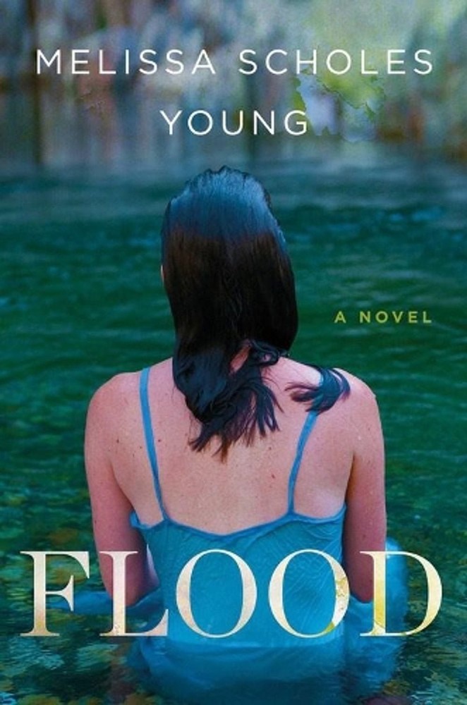 Flood: A Novel by Melissa Scholes Young (English) Paperback Book