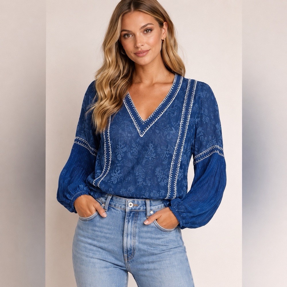 Alice + Olivia Natalya Sheer Embroidered Long Sleeve Blouse Top Blue Size Large