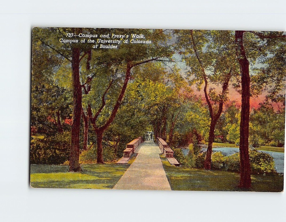 Postcard Campus & Prexy's Walk University of Colorado USA Boulder Colorado USA