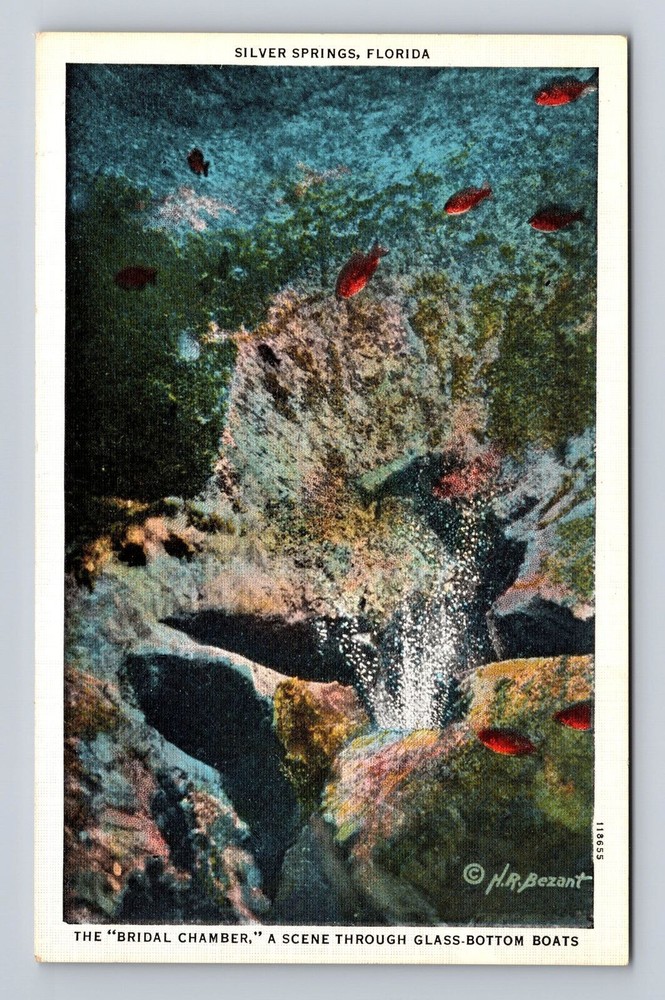 Silver Springs FL-Florida, Bridal Chamber, Glass Bottom Boats Vintage Postcard