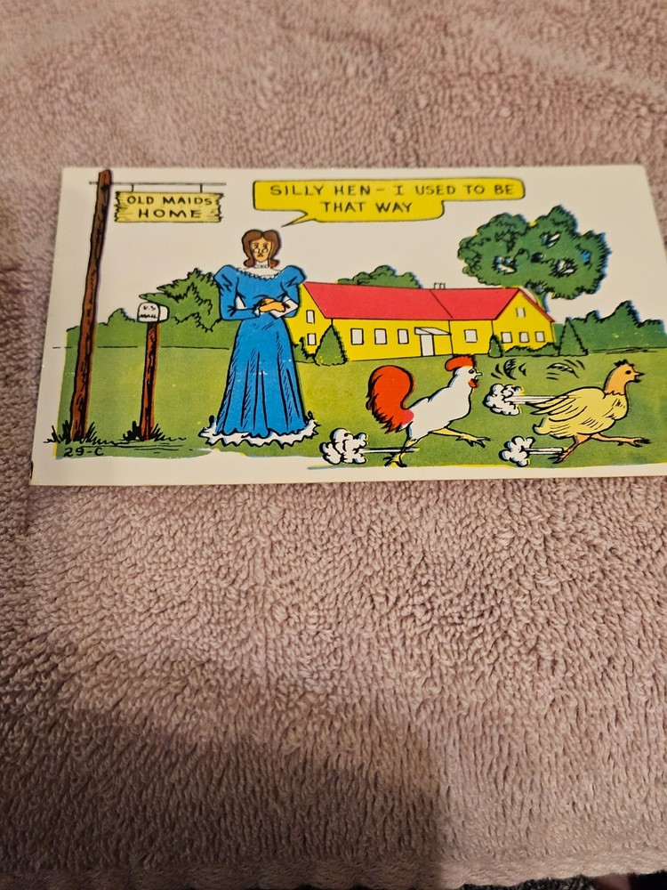 An Old Maids Home postcard.