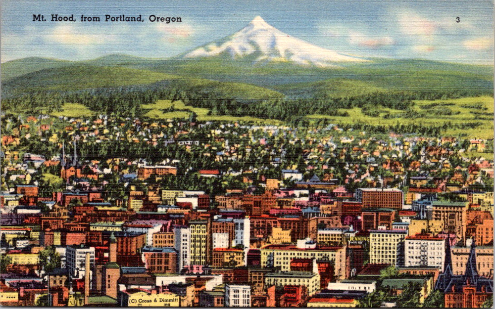 Vintage Postcard Mount Hood Portland Oregon Scenic City View