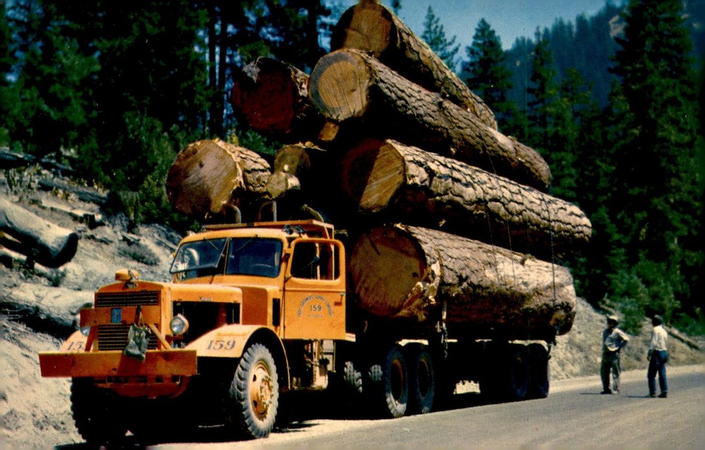 Logging Truck on Mountain Road, 1953 Postcard