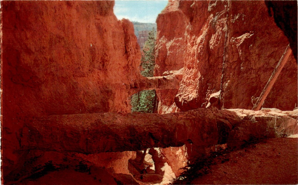 Bryce Canyon National Park, Utah, rock bridges, erosion, nature's Postcard