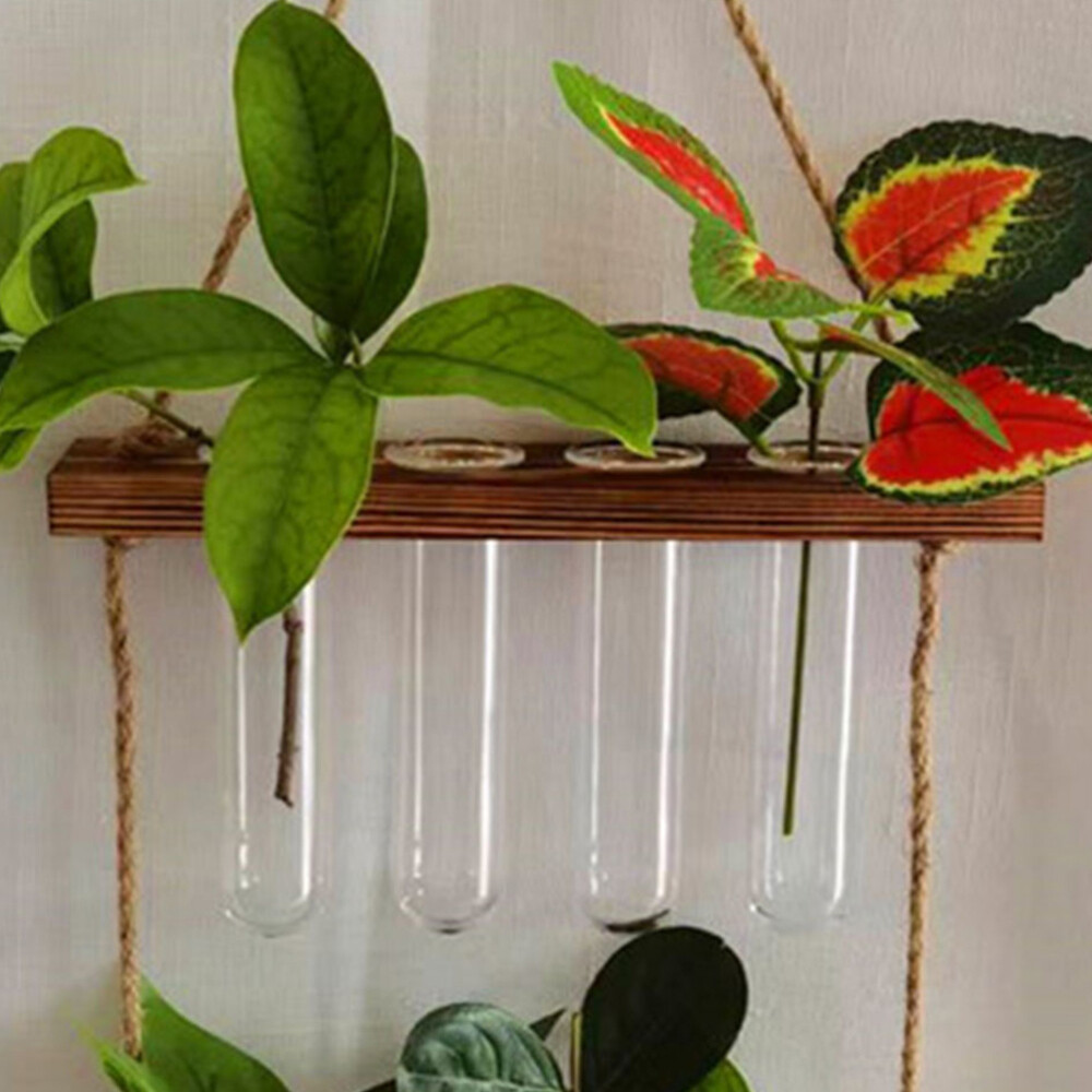 4 Pcs Clear Test Tube Vase for Plant Propagation Hydroponic Floral Display