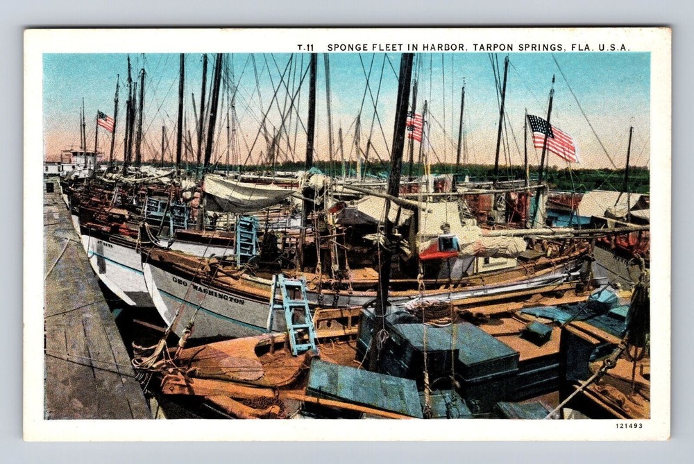 Tarpon Springs FL-Florida, Sponge Fleet In Harbor, Antique, Vintage Postcard