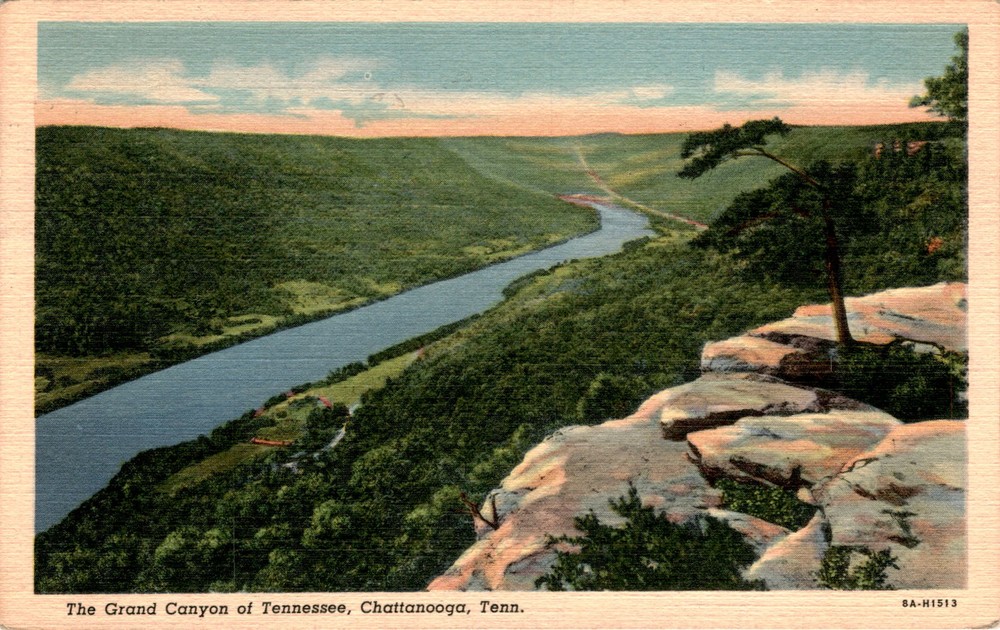 Grand Canyon of Tennessee, Chattanooga, Tenn, Signal Mountain, T. H. Postcard