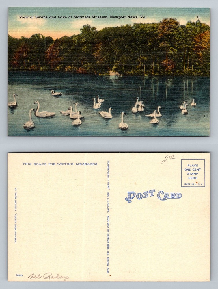 Newport News, VA-Virginia, Mariners Museum Swans on Lake View Vintage Postcard