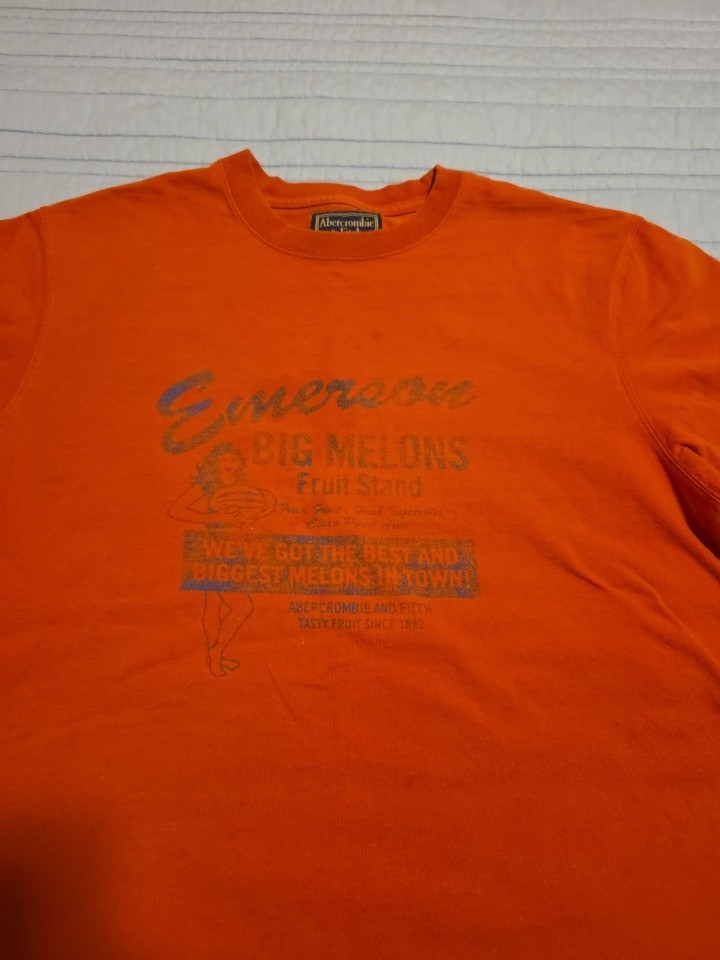 Abercrombie & Fitch T-Shirt Men's L Orange Big Melons Vintage 90s Cotton #J5525