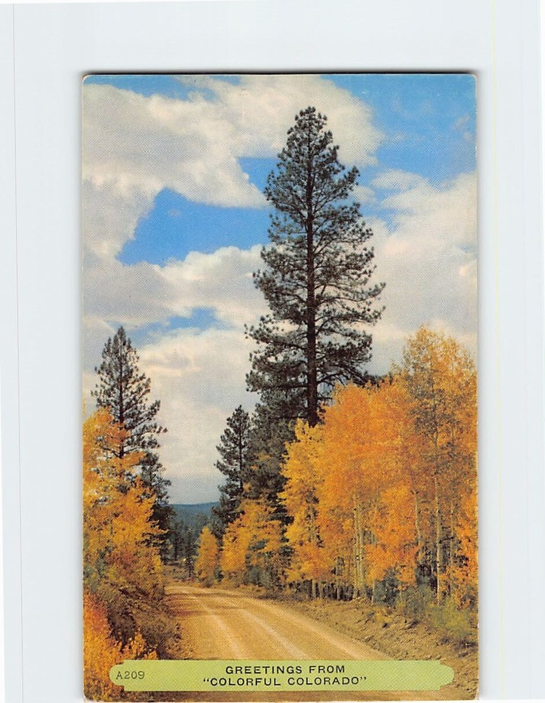 Postcard Autumn Country Road Scene Greetings from Colorado USA