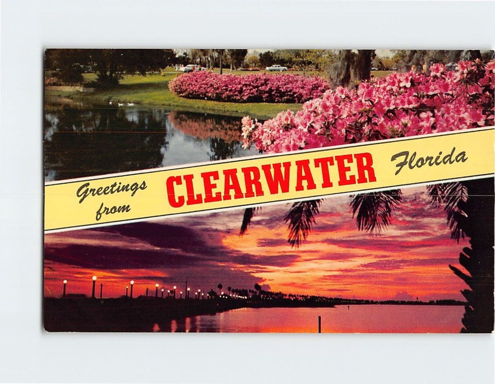 Postcard Greetings From Clearwater Florida - Azaleas & Sunset