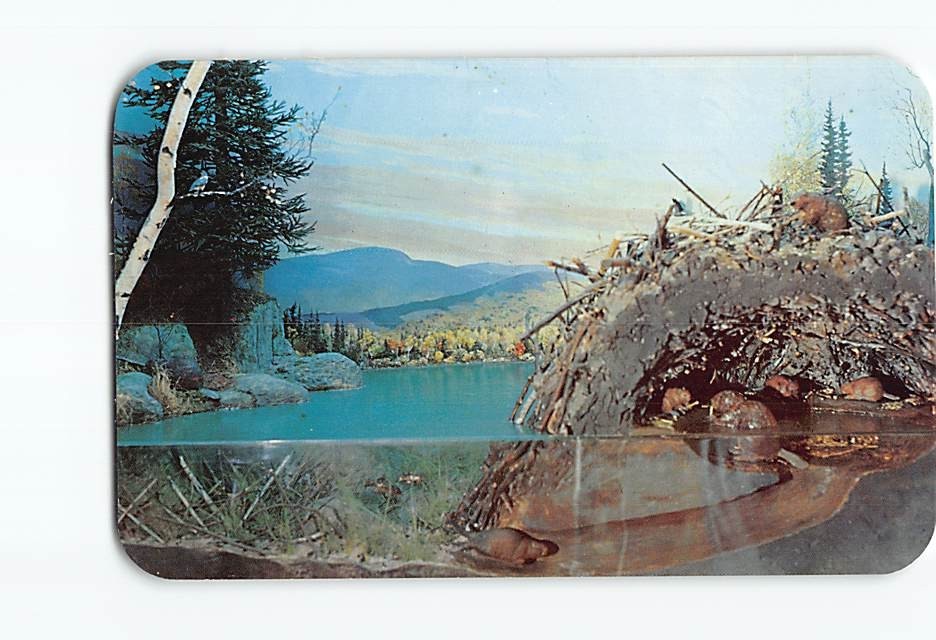 Postcard Beaver house Adirondack Museum Blue Mountain Lake New York USA