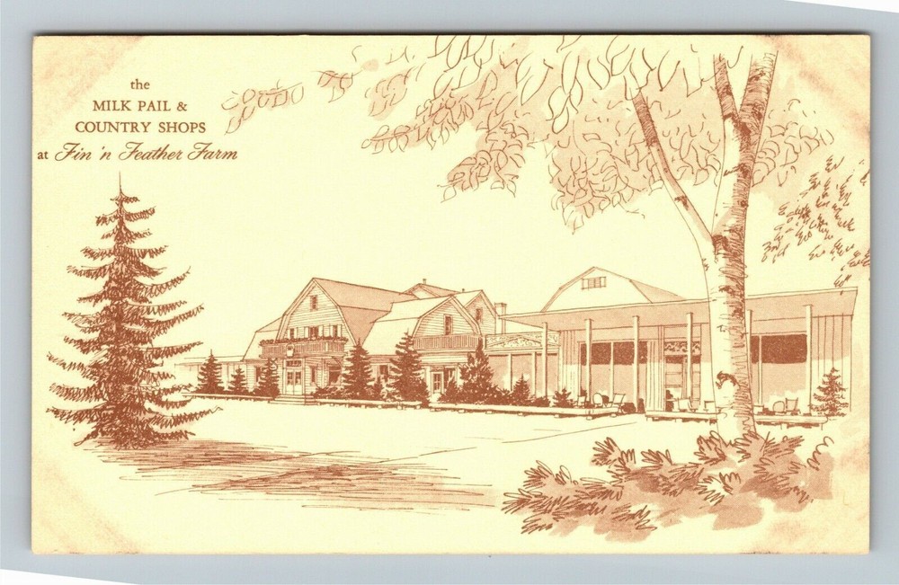 Dundee IL-Illinois, Fin N Feather Farm, Vintage Postcard