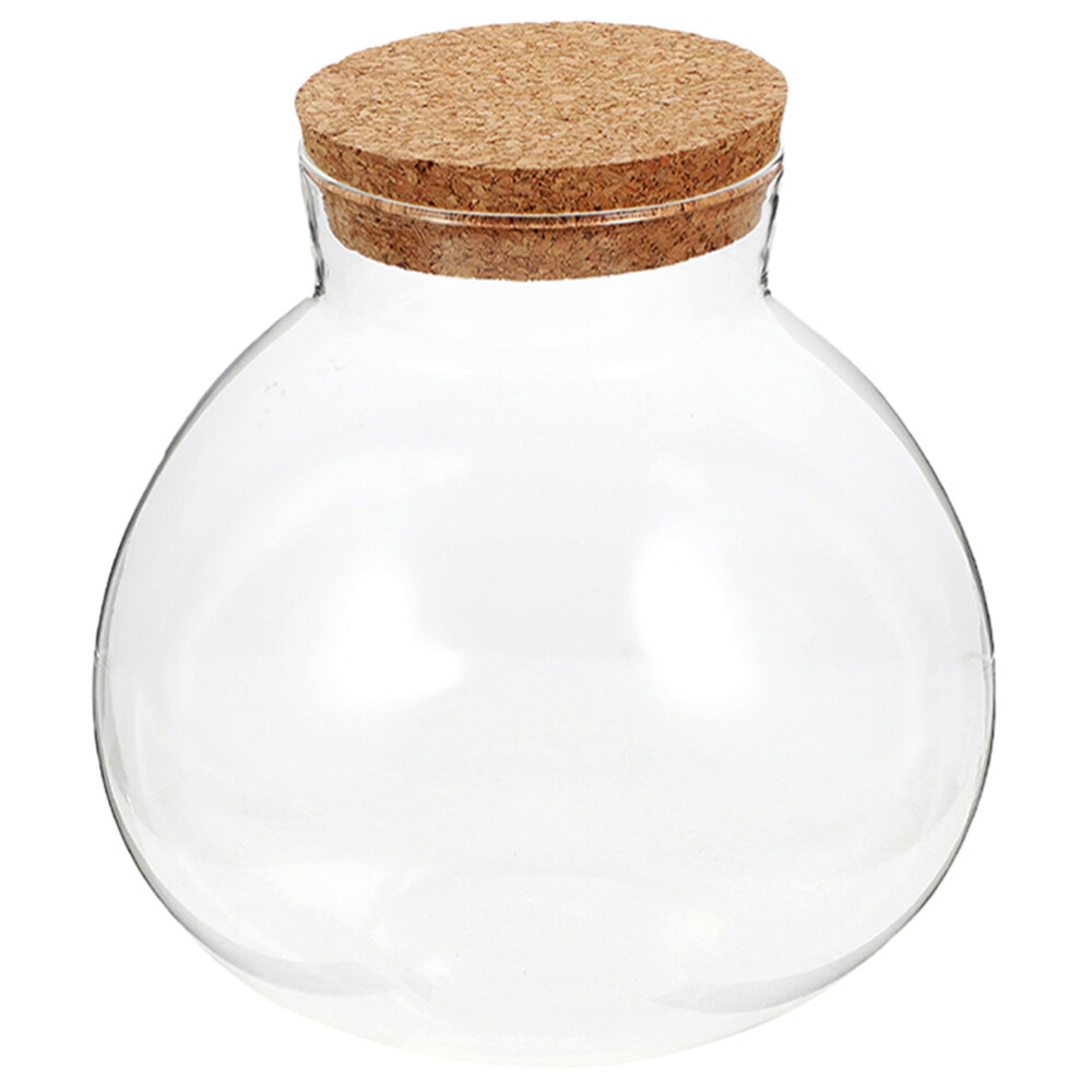 Cork-Sealed Glass Vase for Air Plants & Flowers  