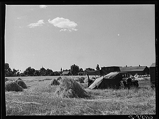 Photo:Fruit workers camp. Berrien County, Michigan