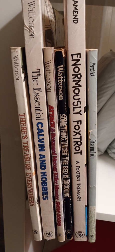 Calvin and Hobbes (Bill Watterson) and Foxtrot (Bill Amend) / 6 Books (TPBs)