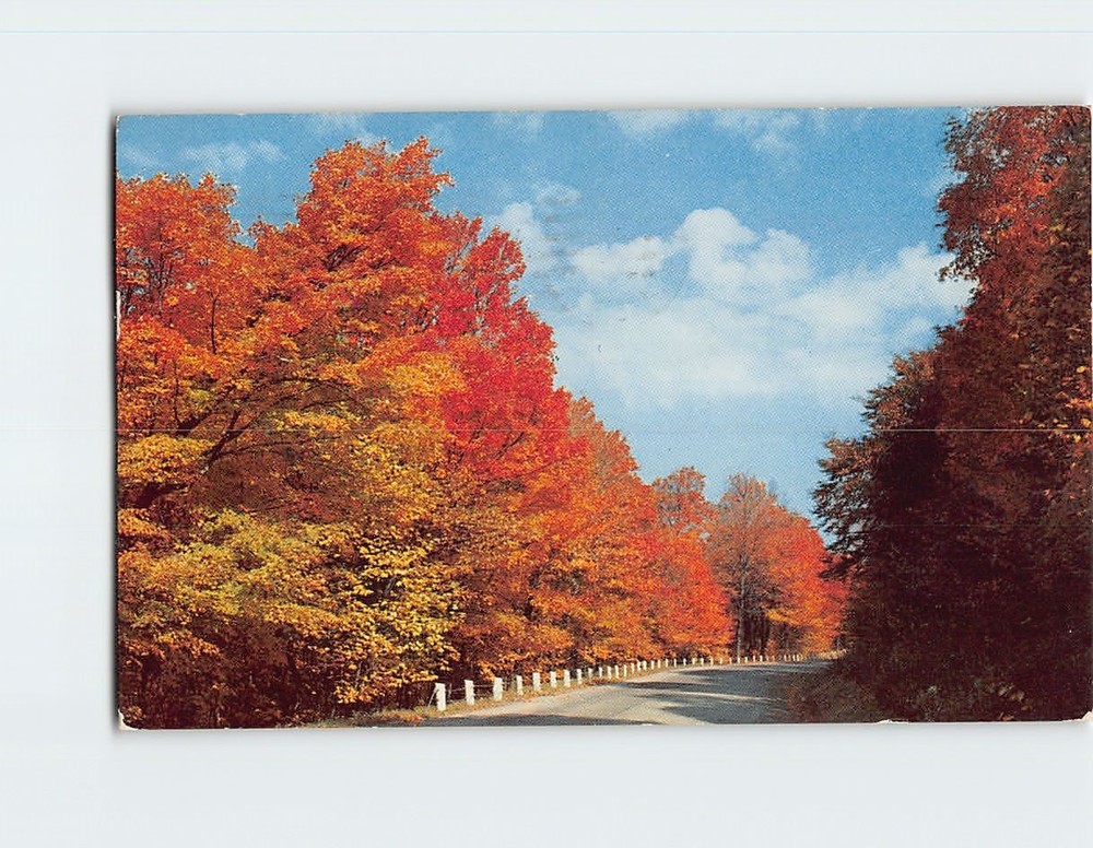 Postcard Autumn Nature Country Highway Scene Maryland USA