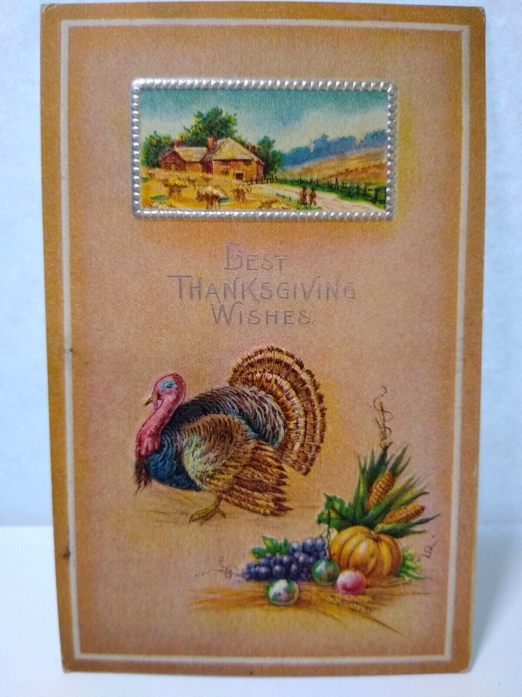 Thanksgiving Wishes Postcard Turkey Barton & Spooner 1910 Slippery Rock PA S 245