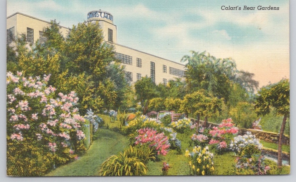 Calart's Rear Gardens Providence RI Artificial Flower Co Vintage Postcard