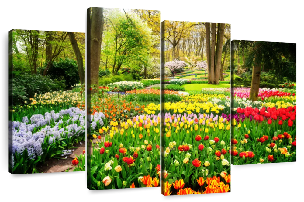 Tulips Flower Wall Art