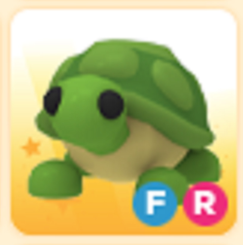 FR Turtle - Cheap & Trusted Store!!