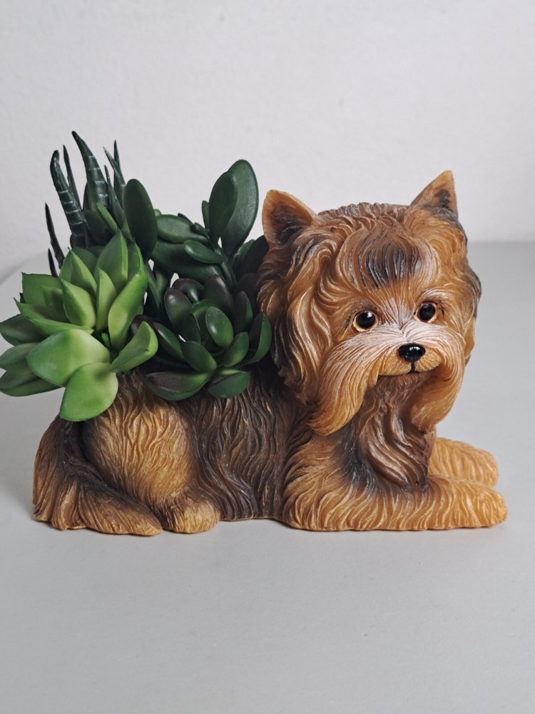 The Bradford Exchange YORKIE PLANTER With Always In Bloom Succulents Figurine