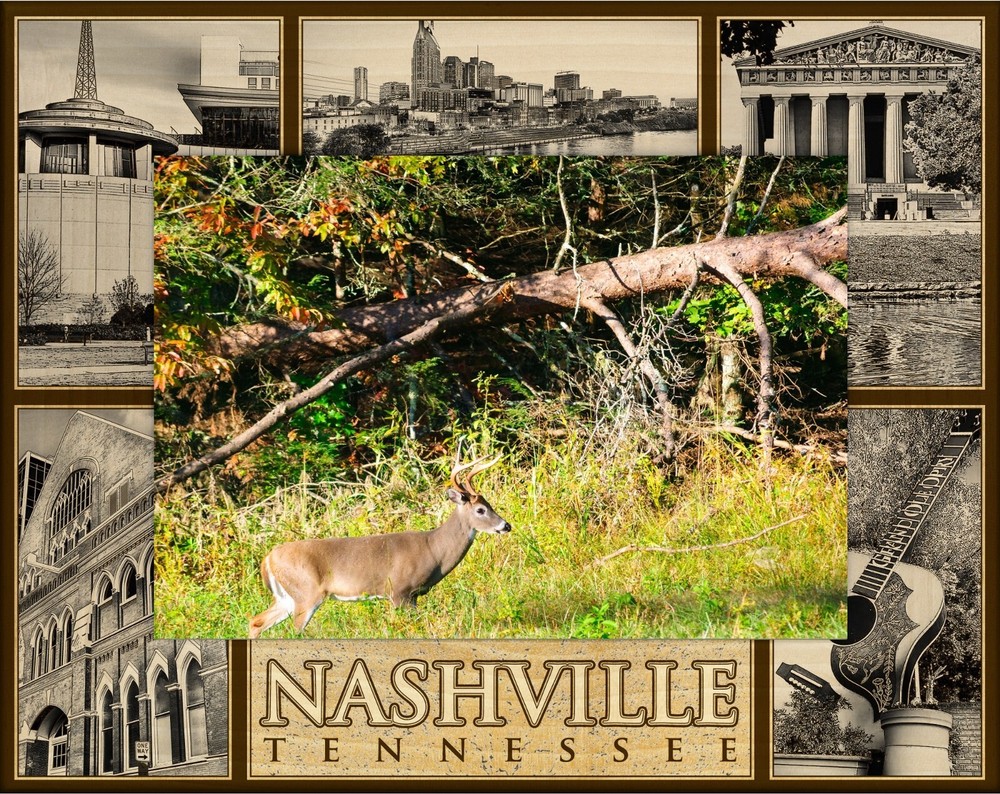 Nashville Tennessee Montage Laser Engraved Wood Picture Frame Landscape (4 x 6)