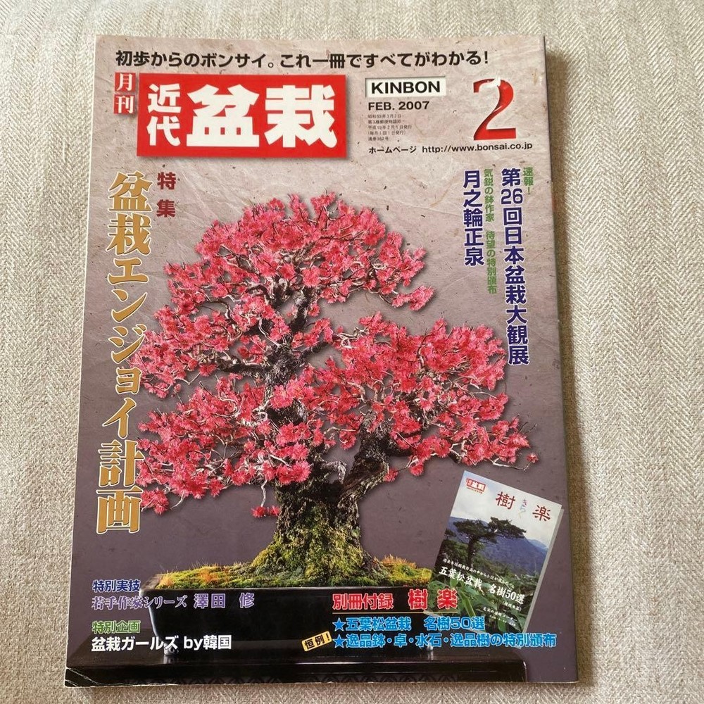 Modern Bonsai Book Guide for Bonsai Making Beginners