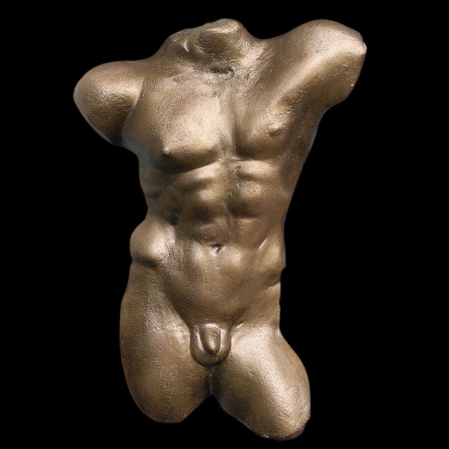 Bronze Finish Greek Gay Male Torso Sculpture Plaque