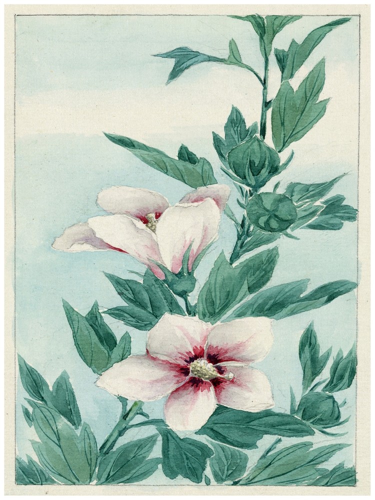 7804.Decoration Poster.Home Room wall interior art design.Japanese flower decor