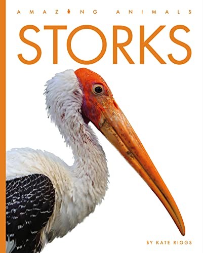 Kate Riggs Storks (Paperback) Amazing AnimalsAnother great item from Rarewaves USA | Free delivery!