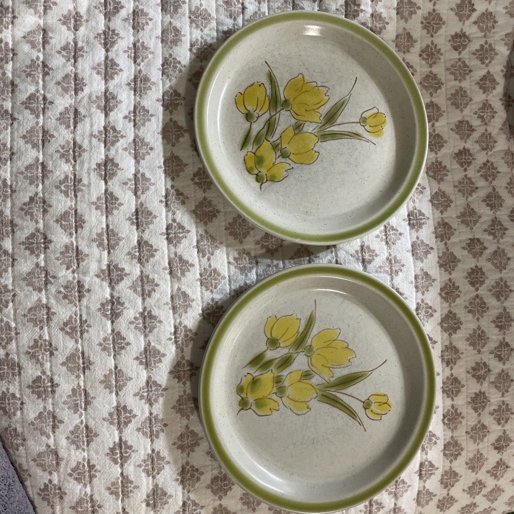 Vintage Stonybrook Stoneware Salad Plate 7.5” Green Yellow Flower Japan Set 2