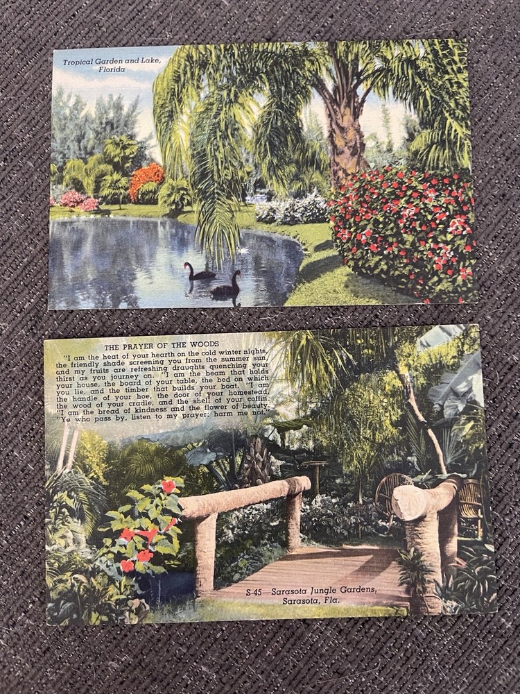 Linen Postcards Florida~ Sarasota Jungle Gardens Tropical Garden & Lake Views