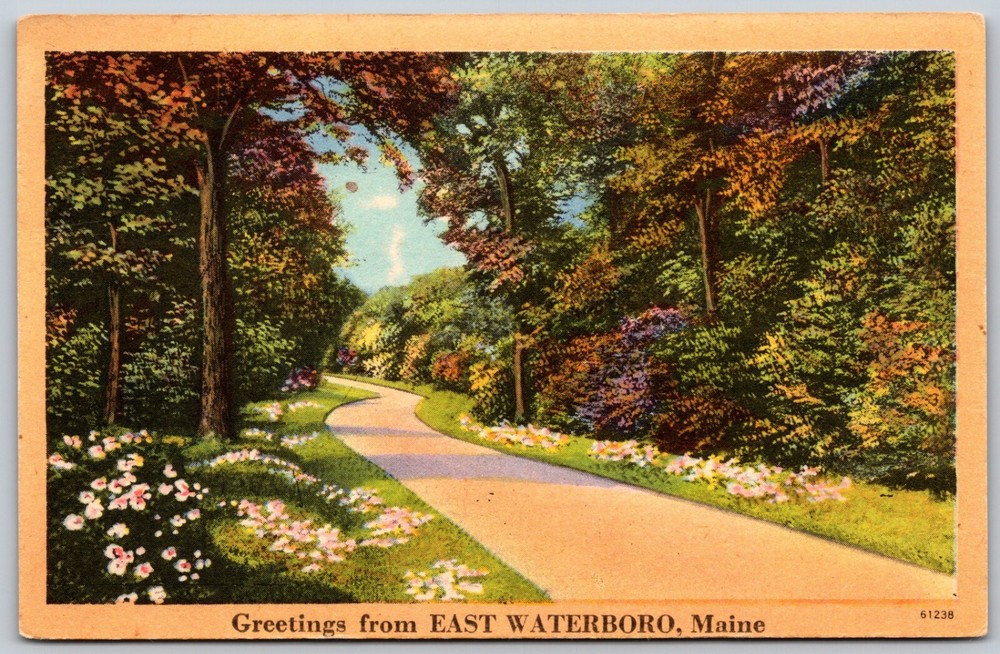 East Waterboro Maine Floral Scenic Road Greetings VINTAGE Postcard