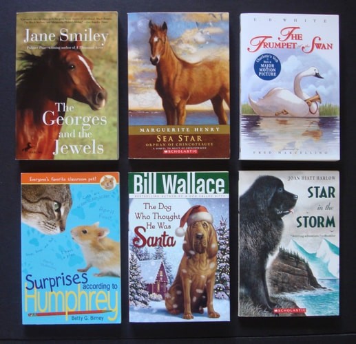 The Dog Who Thought He Was Santa by Bill Wallace, Good Book