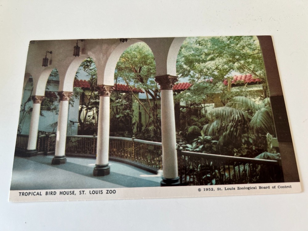 Tropical Bird House St Louis Missouri Zoo MO Postcard