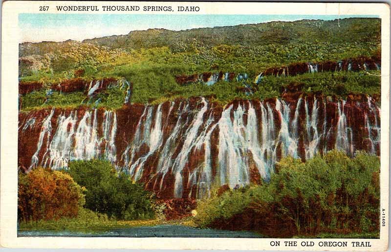 Postcard MOUNTAIN SCENE Thousand Springs Idaho ID m/09 AO9974