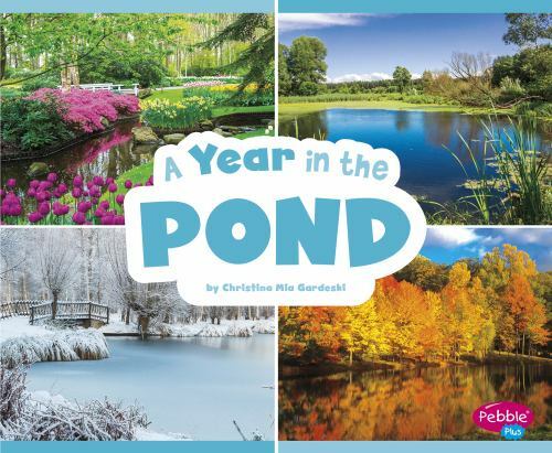 Year in the Pond, Paperback by Gardeski, Christina Mia, Brand New, Free shipp...