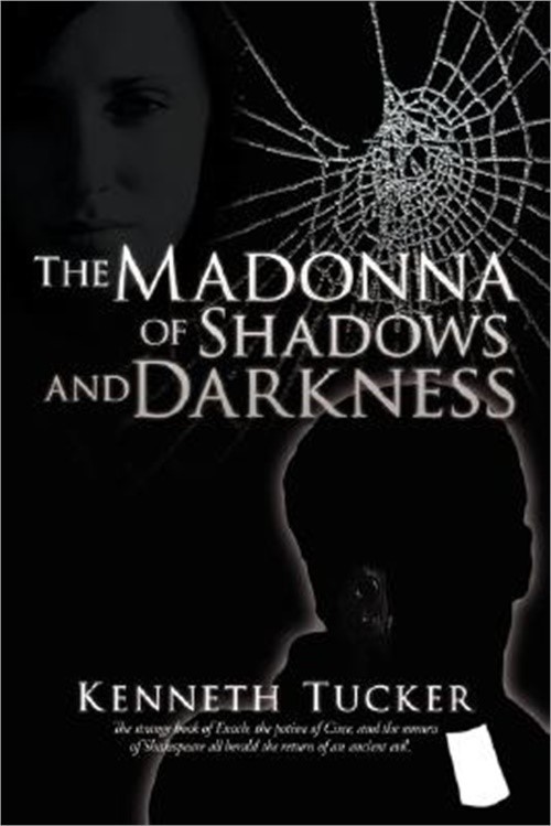 The Madonna of Shadows and Darkness (Paperback or Softback)