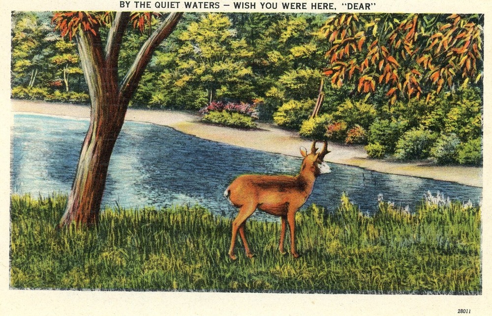 By the Quiet Waters -- Wish You Were Here, 