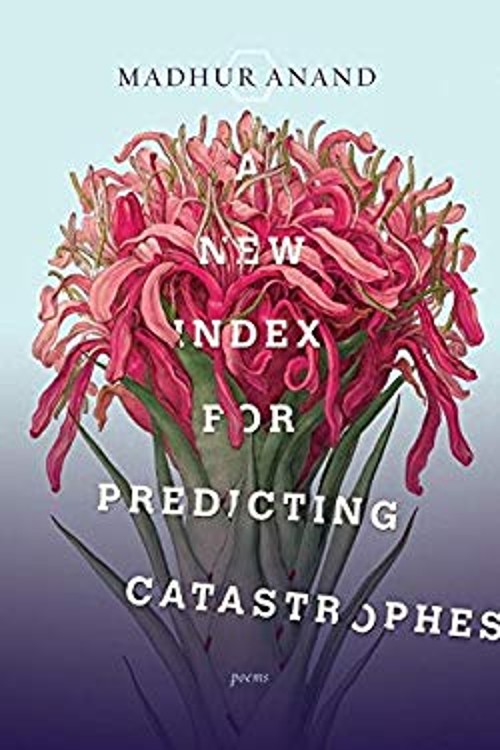 A New Index for Predicting Catastrophes Paperback Madhur AnandFree US Delivery | ISBN:0771006985