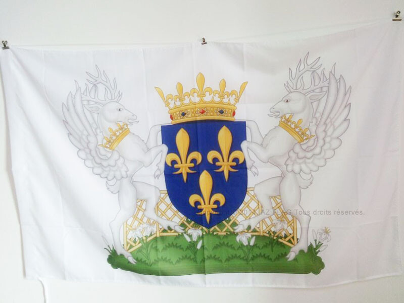 CHARLES VII OF FRANCE Coat of Arms Flag 2x3 ft French Kingdom Banner for Pole