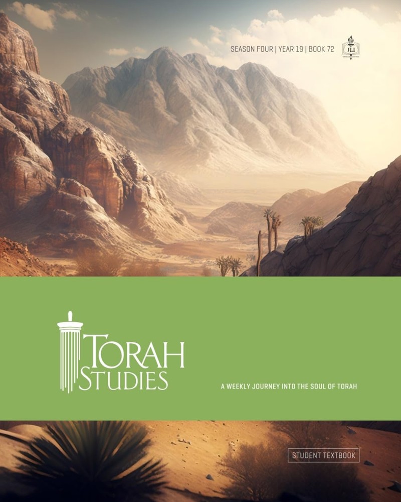 Torah Studies Season 4: (5784 | Book 72) - paperback The Rohr Jewish Learnin...
